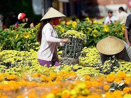 Xu hướng Mua váy hoa mà không biết 4: Hotspot Matrix tiết lộ bí quyết video viral_Công cụ tạo nội dung