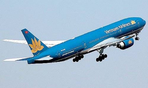 Bonobo: Nguồn Gốc Tiến Hóa Của Ngôn Ngữ Con Người?_Kinh nghiệm khởi nghiệp